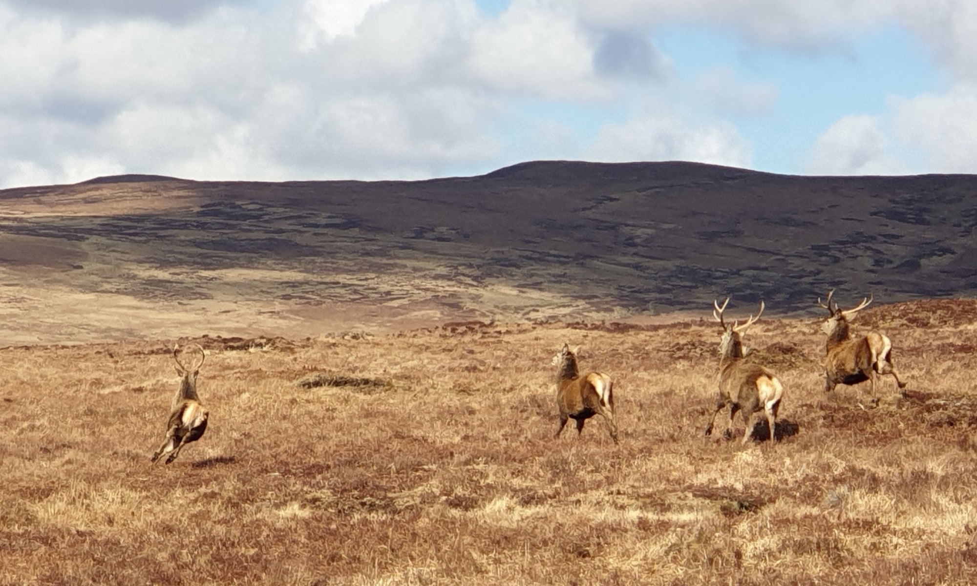 Photos from our Far North Cycling Holiday